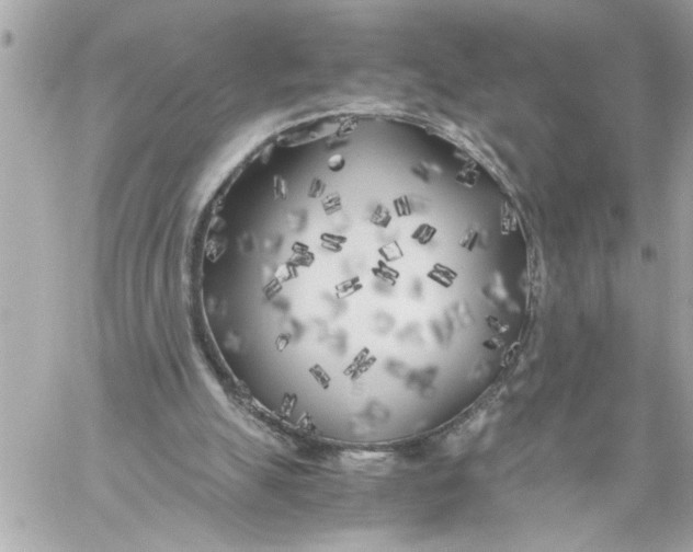 X0000059850055200511111822