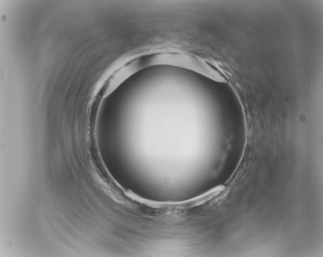 X0000059850056200511111822