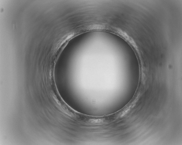 X0000059850057200511111822