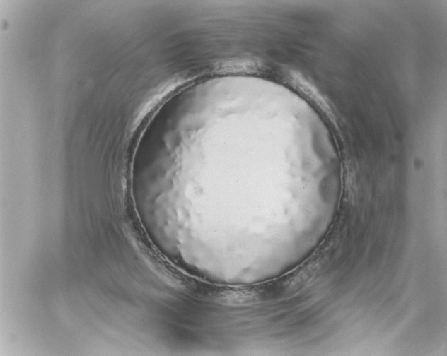 X0000059850059200511111822