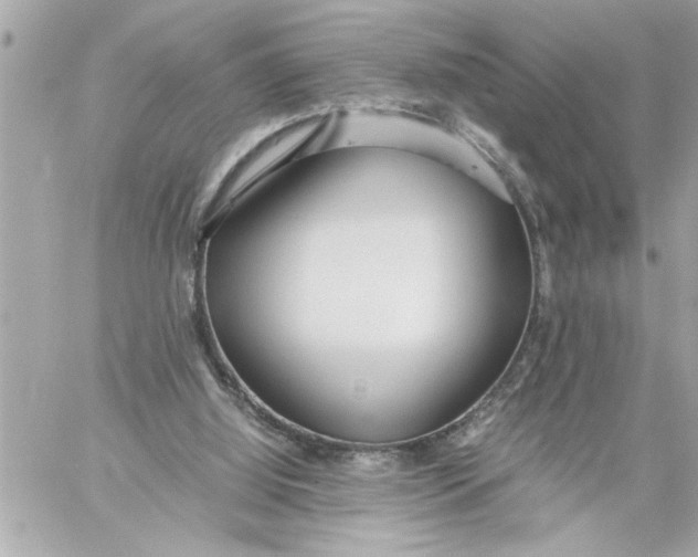 X0000059850060200511111822