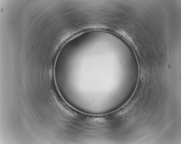 X0000059850063200511111822