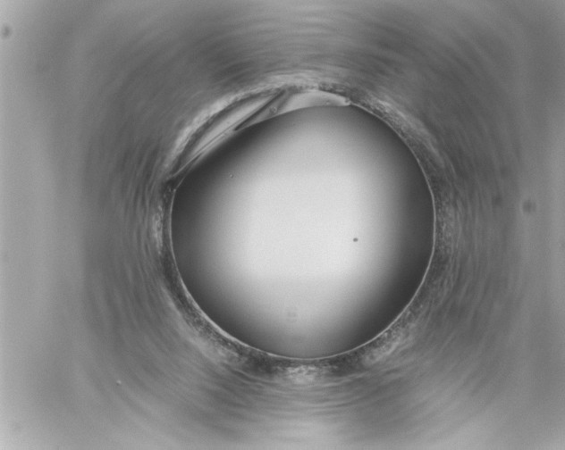 X0000059850064200511111822