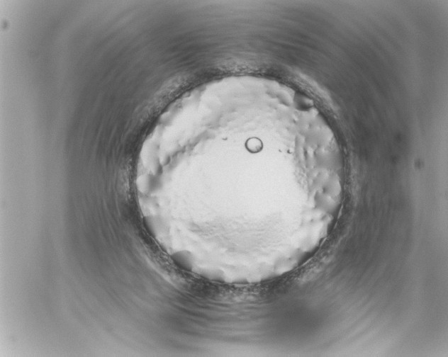 X0000059850065200511111822