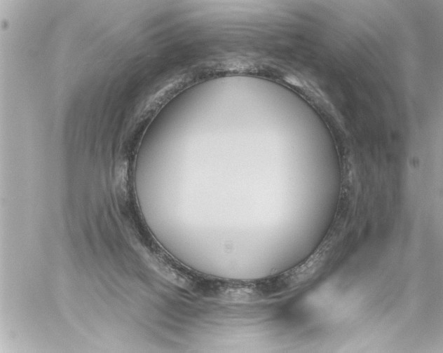 X0000059850066200511111822