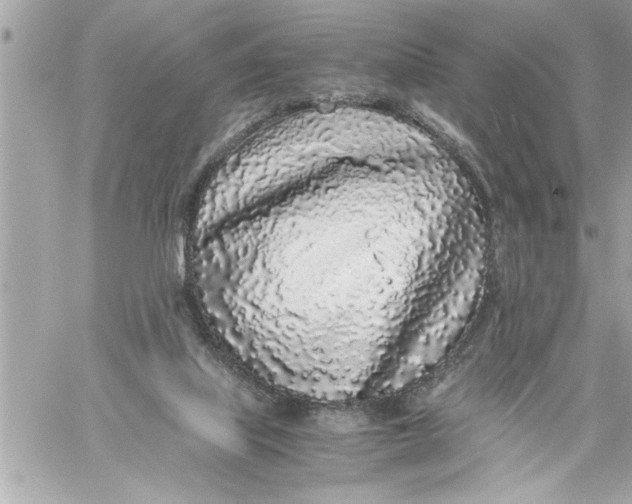 X0000059850067200511111822