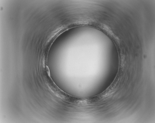 X0000059850068200511111822