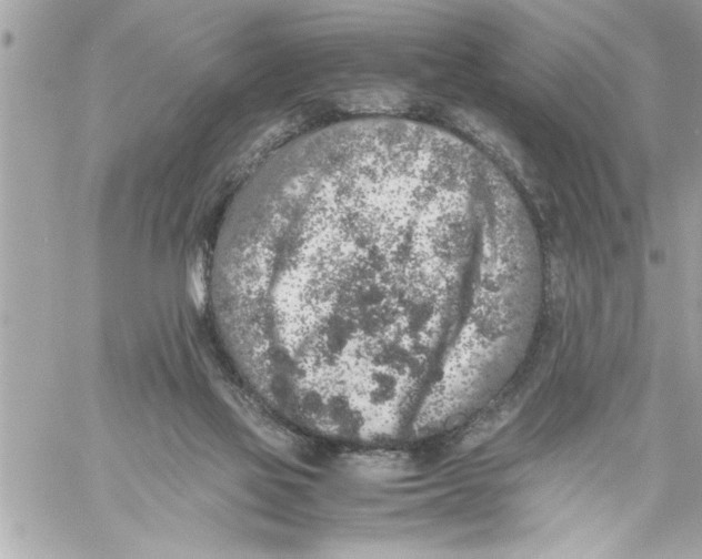 X0000059850069200511111822