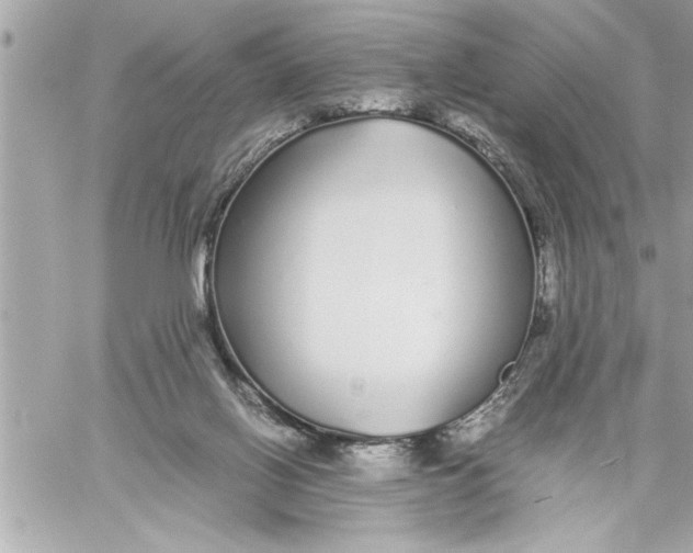 X0000059850070200511111822