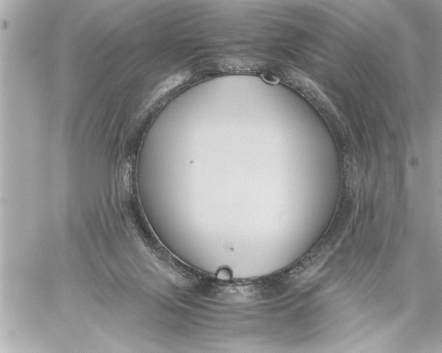 X0000059850071200511111822