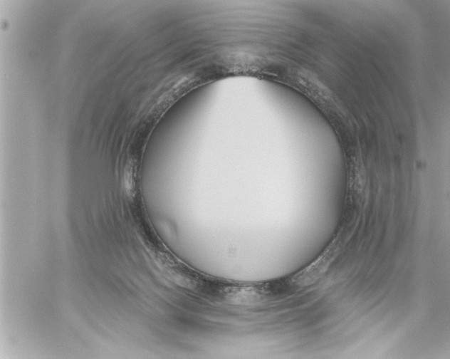 X0000059850074200511111822