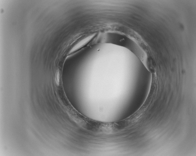 X0000059850076200511111822