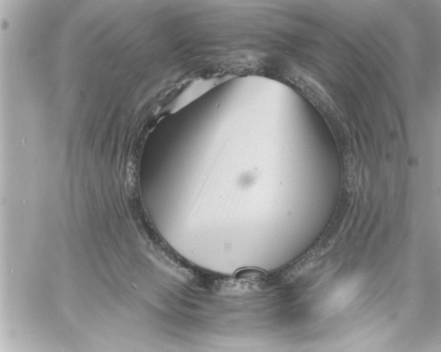 X0000059850077200511111822