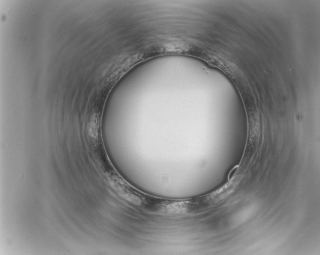 X0000059850078200511111822