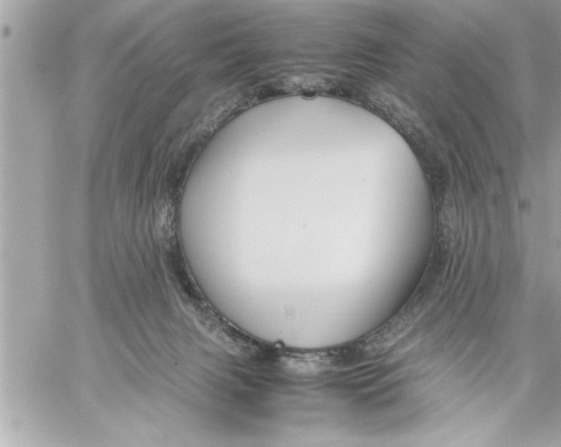 X0000059850079200511111822