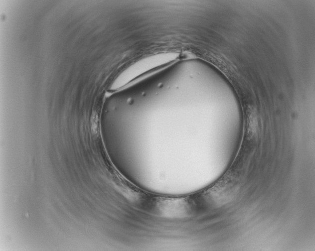 X0000059850081200511111822