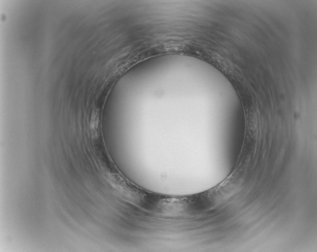 X0000059850082200511111822