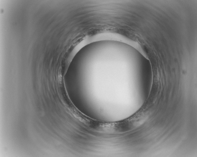 X0000059850084200511111822