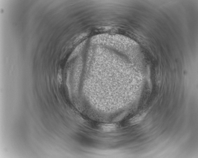 X0000059850085200511111822