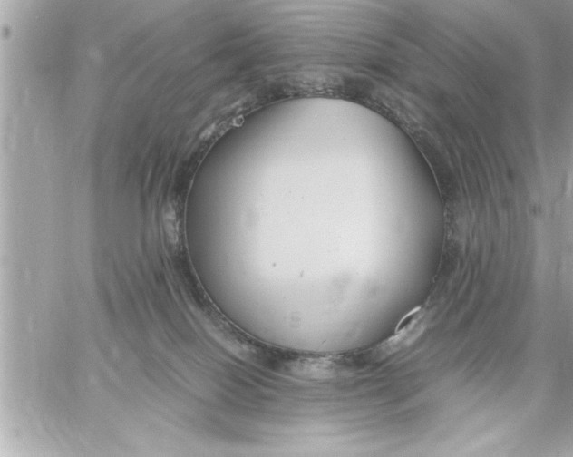 X0000059850086200511111822