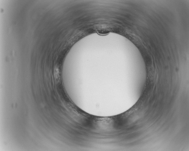 X0000059850087200511111822