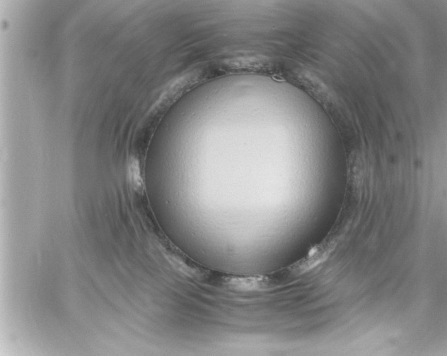 X0000059850089200511111822