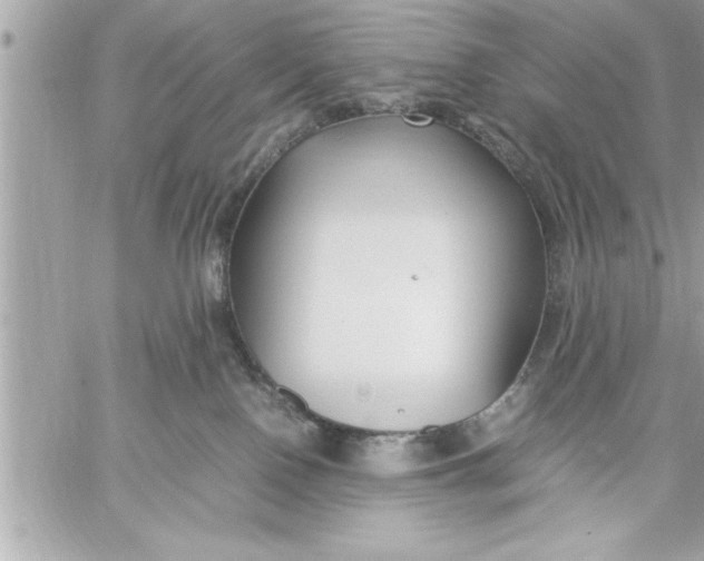 X0000059850090200511111822