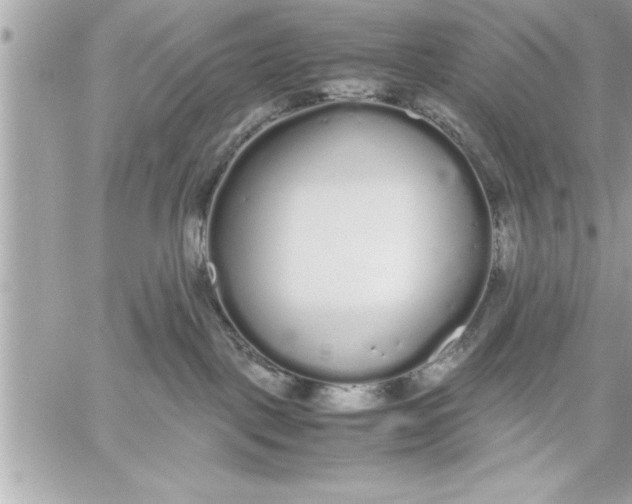 X0000059850093200511111822