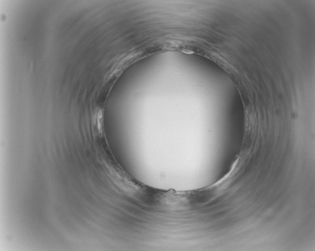 X0000059850094200511111822