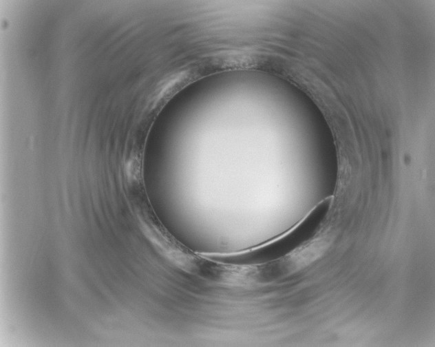 X0000059850096200511111822