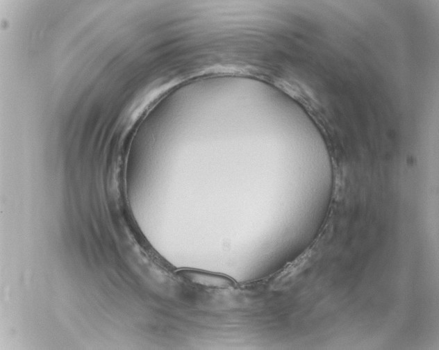 X0000059850098200511111821