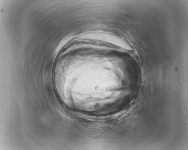 X0000059850099200511111821