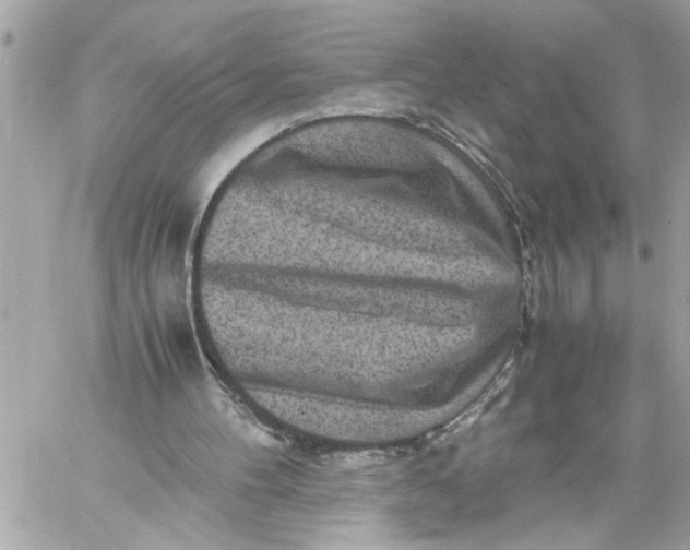 X0000059850100200511111821