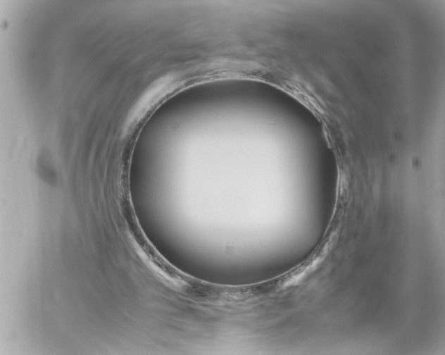 X0000059850101200511111821