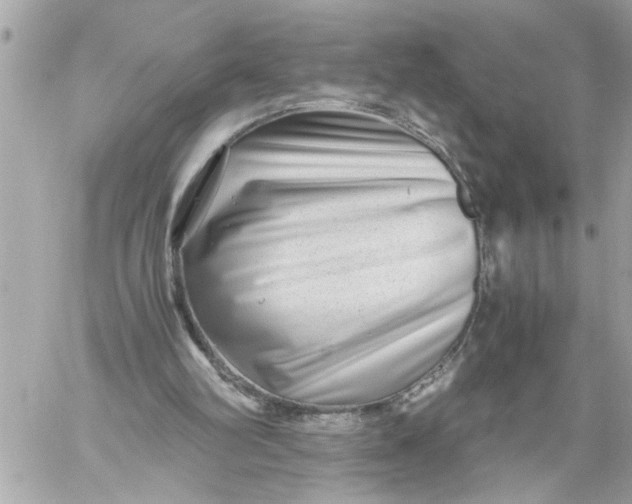 X0000059850102200511111821