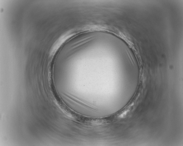 X0000059850103200511111821