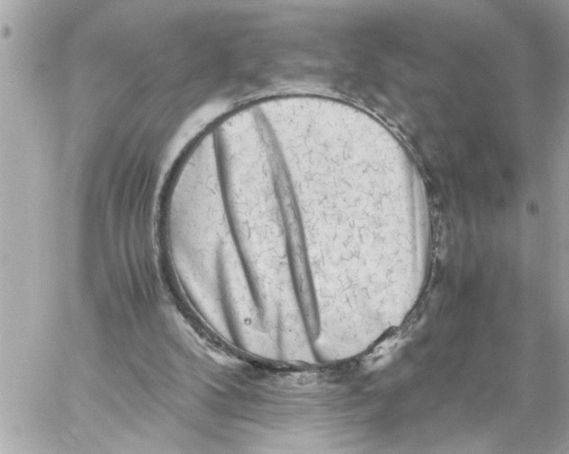 X0000059850104200511111821