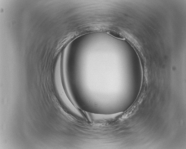 X0000059850105200511111821