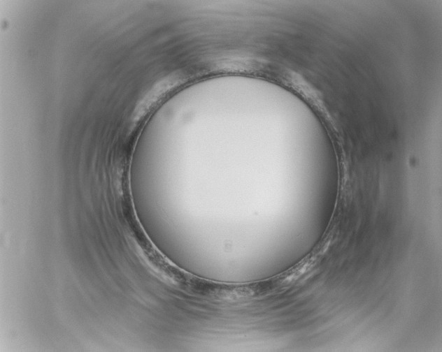 X0000059850106200511111821