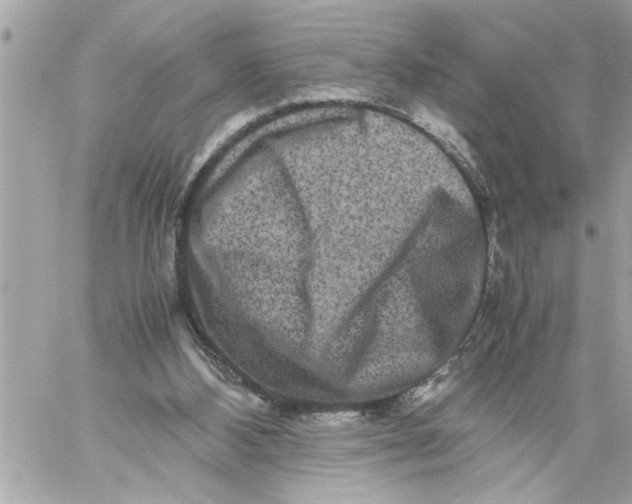 X0000059850108200511111821