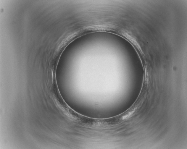 X0000059850109200511111821