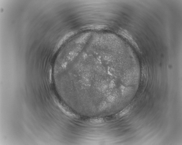 X0000059850110200511111821