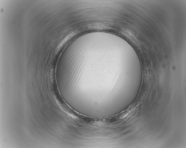 X0000059850111200511111821