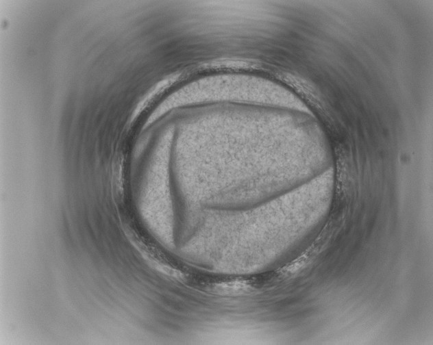 X0000059850112200511111821