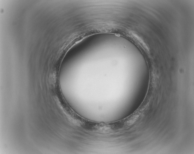 X0000059850113200511111821