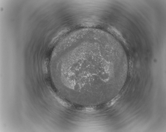 X0000059850114200511111821