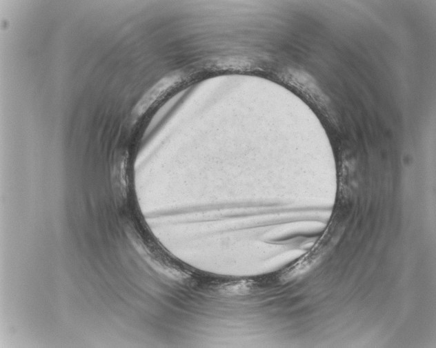 X0000059850116200511111821