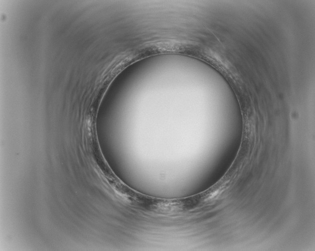 X0000059850117200511111821