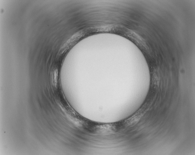 X0000059850118200511111821