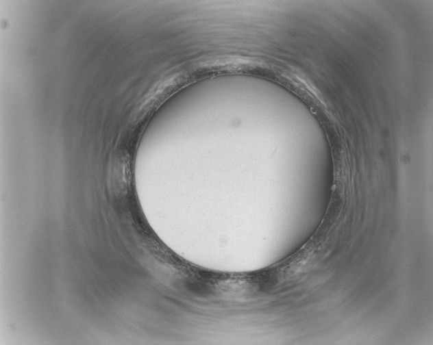 X0000059850119200511111821